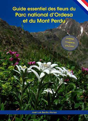 Guide essentiel des fleurs du Parc national d’Ordesa et du Mont Perdu